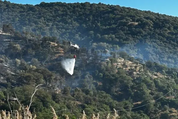Il fuoco a Ozieri (foto concessa)