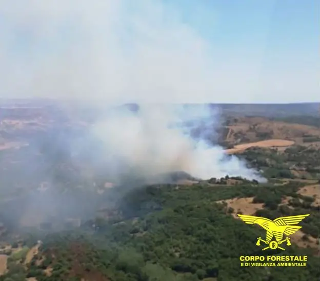 Vista dall'alto dell'incendio di Ales (foto Corpo forestale)