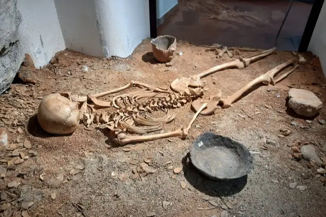 Lo scheletro di Sisaia esposto al museo archeologico Asproni di Nuoro