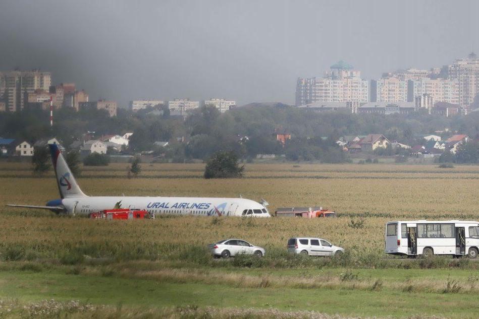 Uccelli nei motori dopo il decollo: l'atterraggio d'emergenza finisce con 23 feriti