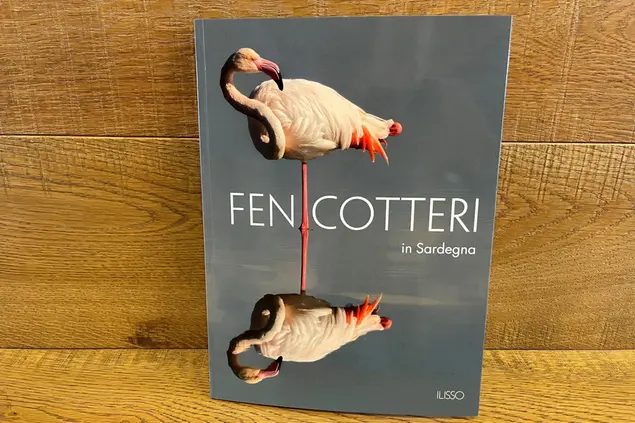 Il primo volume della collana