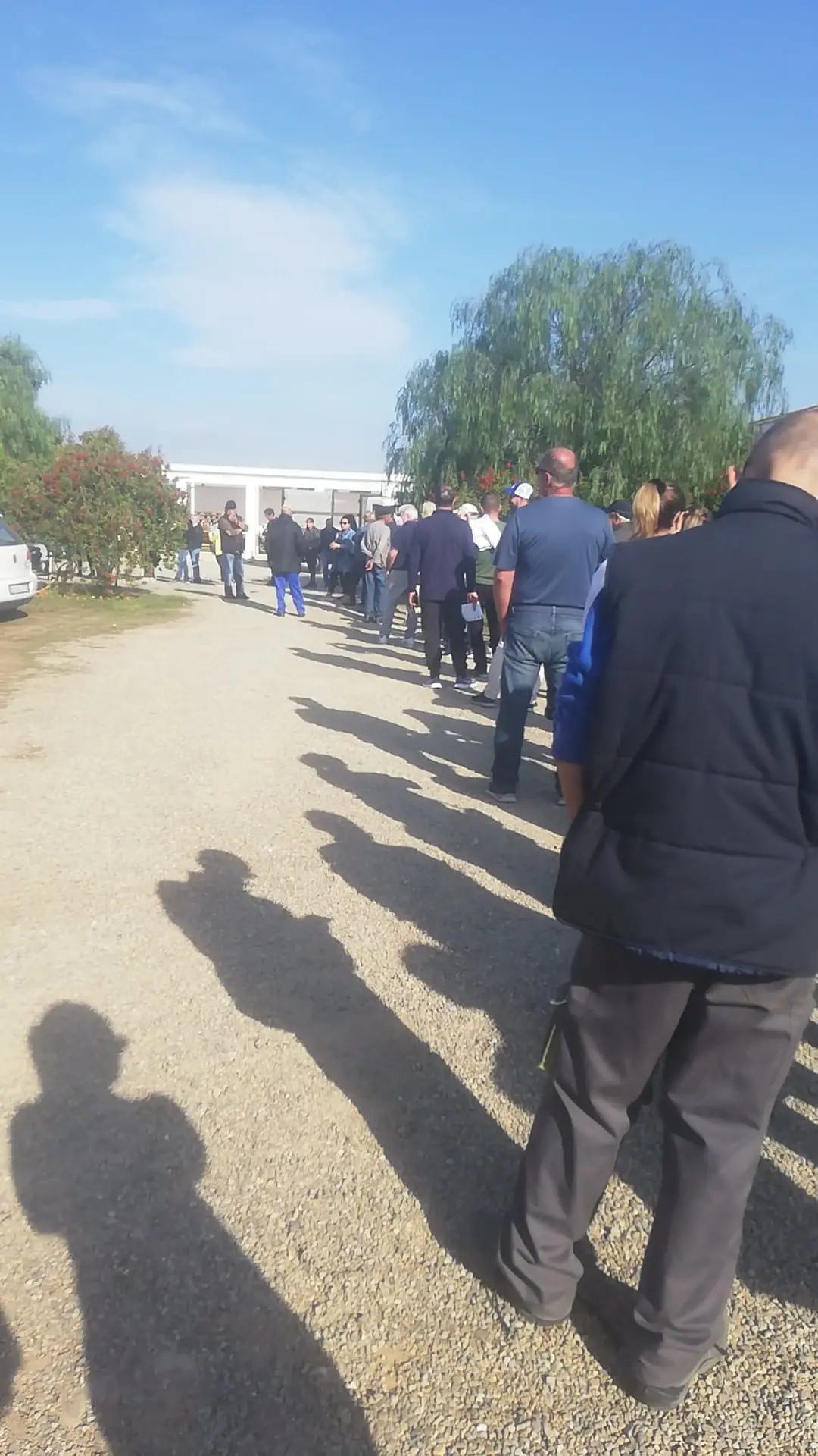 ZEYIYER Pinze Per Piercing A Sfera - 2 Pezzi In Acciaio Inox, Design A 4 Artigli - Foto 6