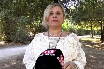 Sassari, un piano per tutelare i gatti liberi: coinvolte le associazioni