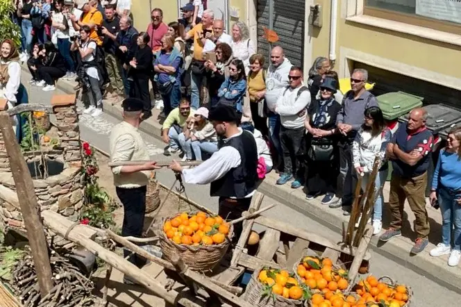 La Sagra degli agrumi a Muravera (foto Agus)