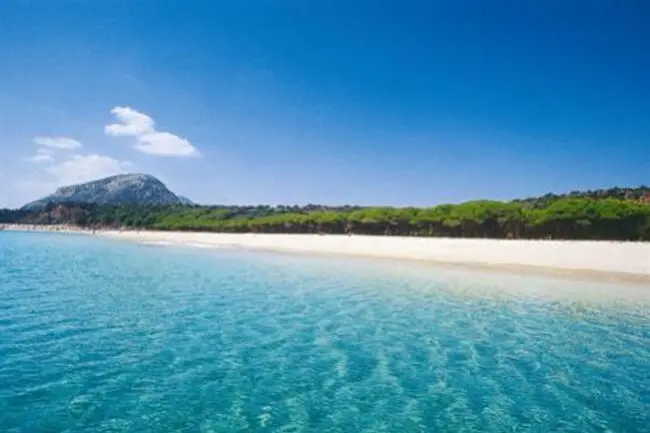 La spiaggia di Osalla a Orosei (archivio L'Unione Sarda)