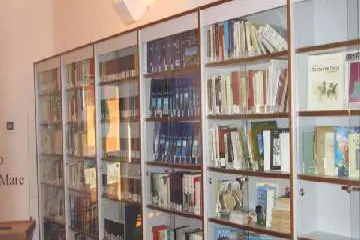 San Teodoro, la biblioteca chiude per inagibilità dei locali (foto da google)