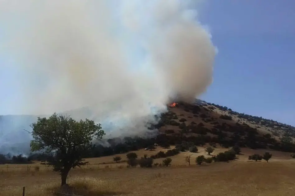 L'incendio di Pranedda nelle campagne di Nuxis