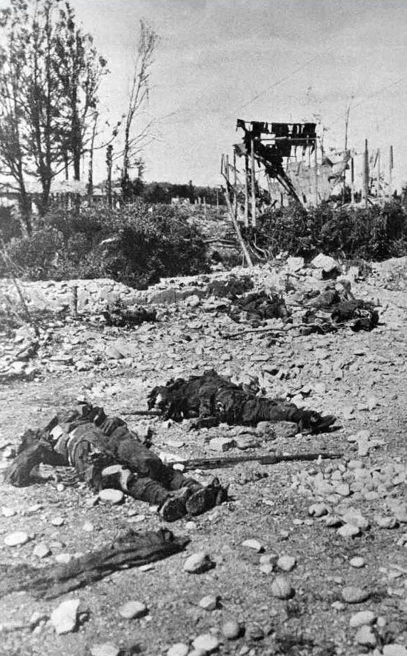 Il campo di battaglia di Nervesa, in provincia di Treviso