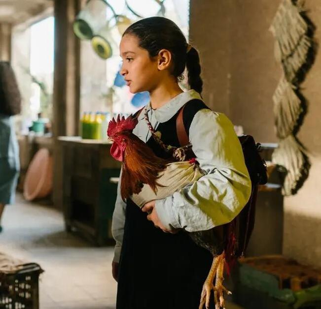 Una storia dolce ed emozionante che celebra  tutta la forza dell’umanità