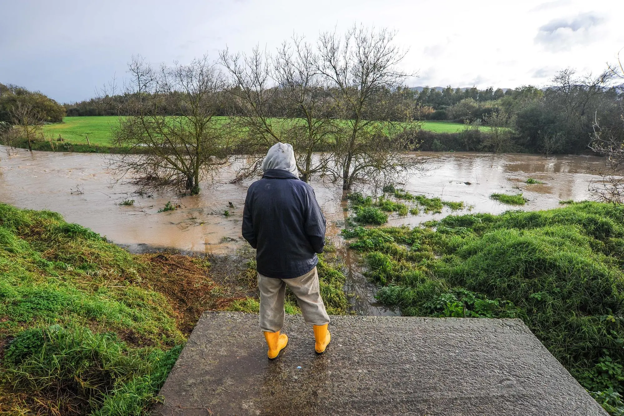 Volontari della Protezione civile impegnati nel monitoraggio del rio Cixerri a Siliqua (Foto Cucca)