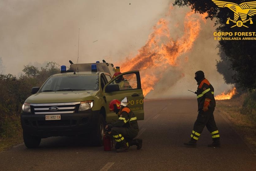 L'incendio a Decimoputzu (foto corpo forestale)