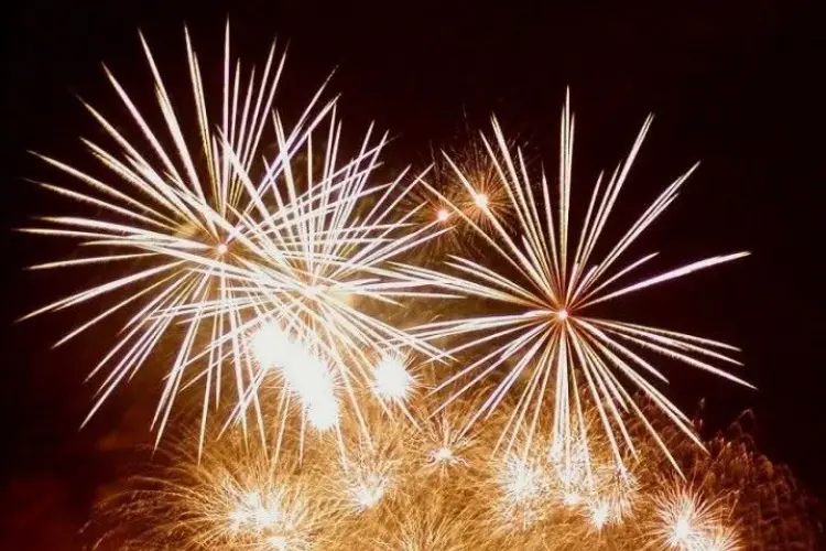 Fuochi d'artificio (foto concessa)