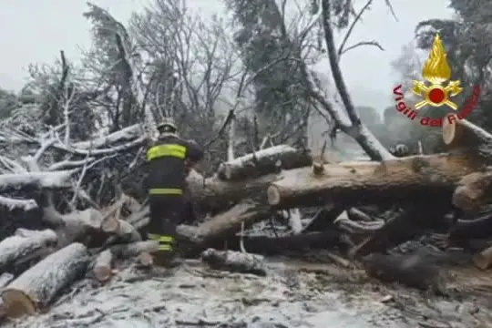 Maltempo, 500 gli interventi dei vigili del fuoco in Emilia Romagna