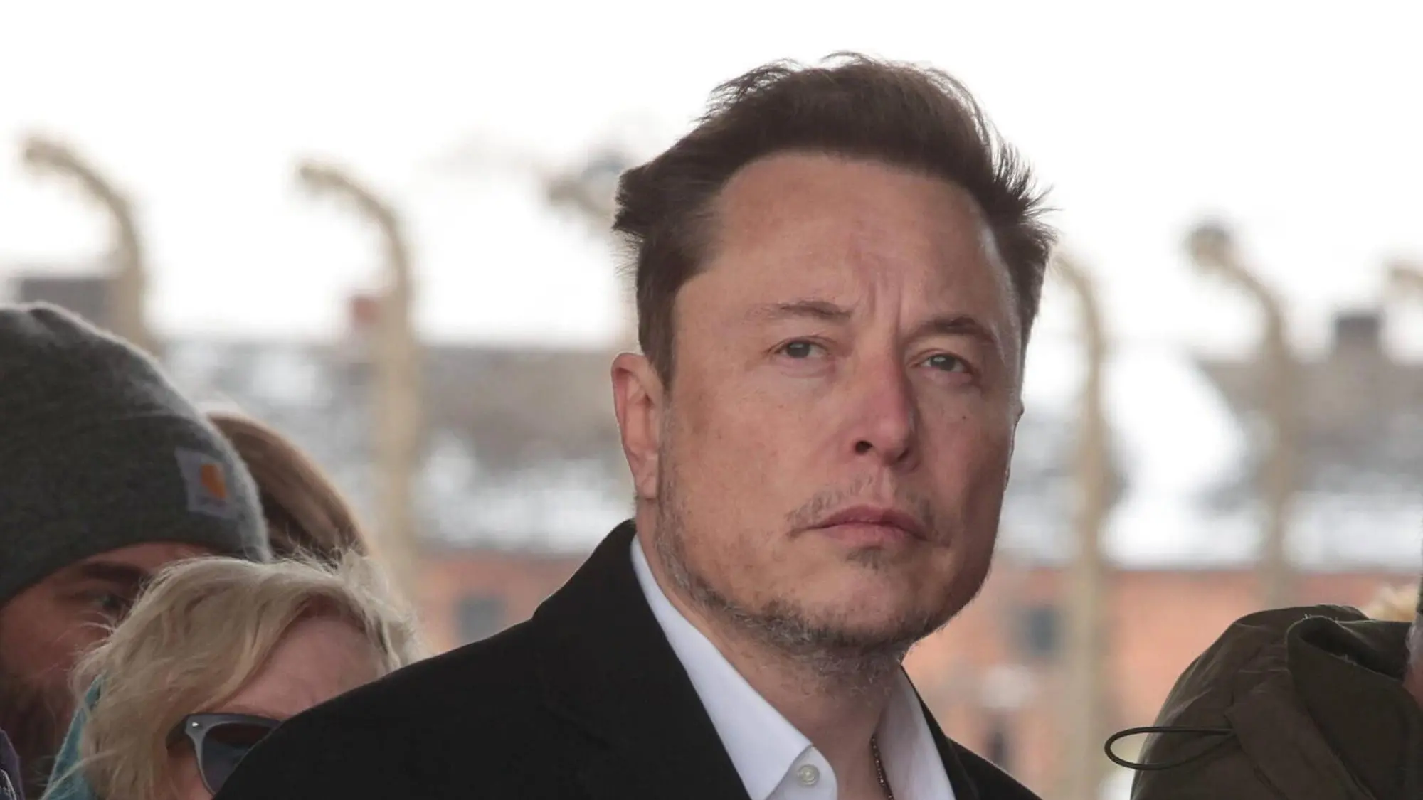 I BOUGHT THIS BEFORE ELON WENT CRAZY (nero) - Adesivo Per Auto Tesla In Vinile Nero E Bianco (nero