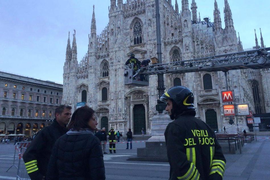 Milano, piazza Duomo invasa dalle api