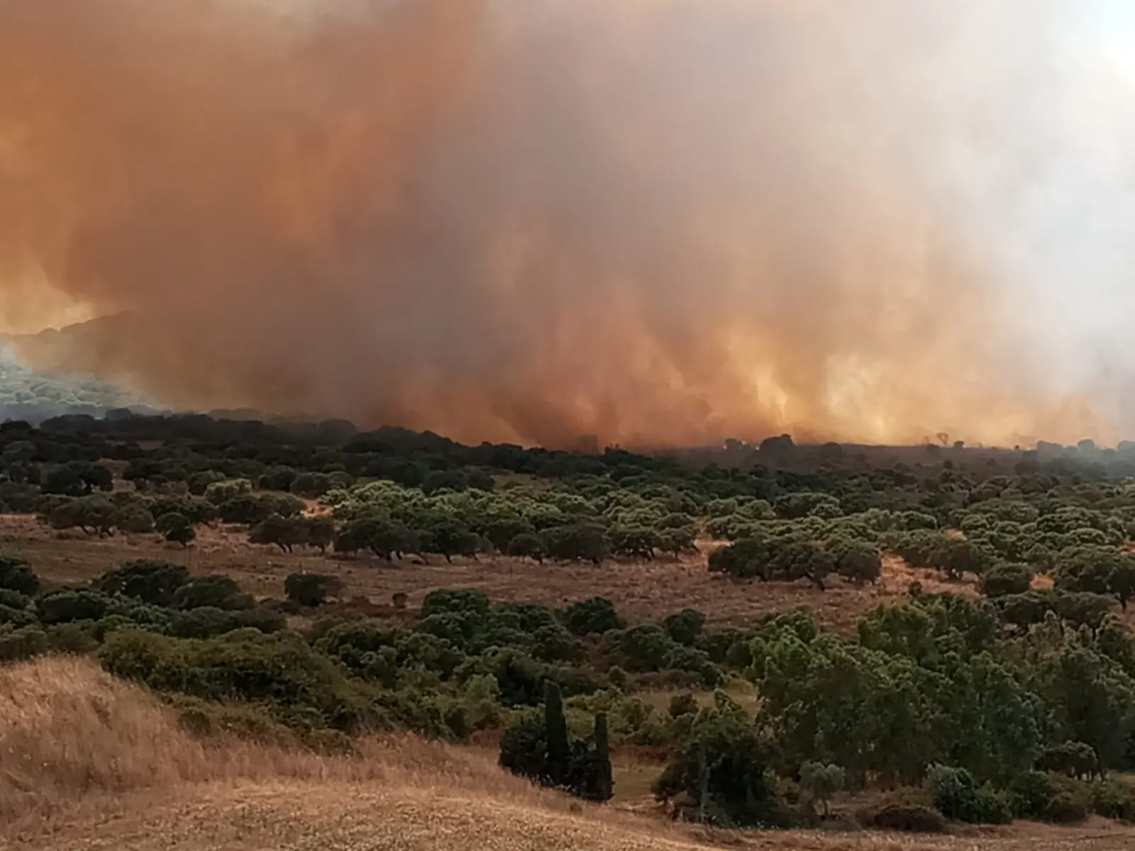 L'incendio tra Sedini e Nulvi (foto inviata da un lettore)