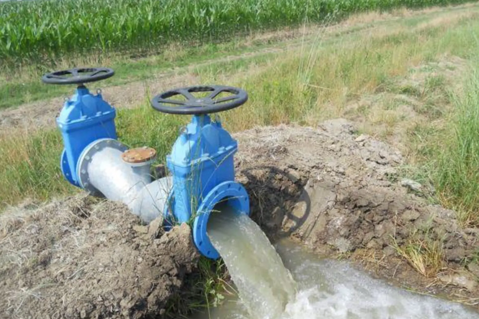 Un punto di irrigazione