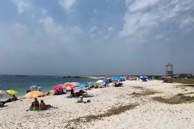 La spiaggia di Is Arutas (foto Pinna)