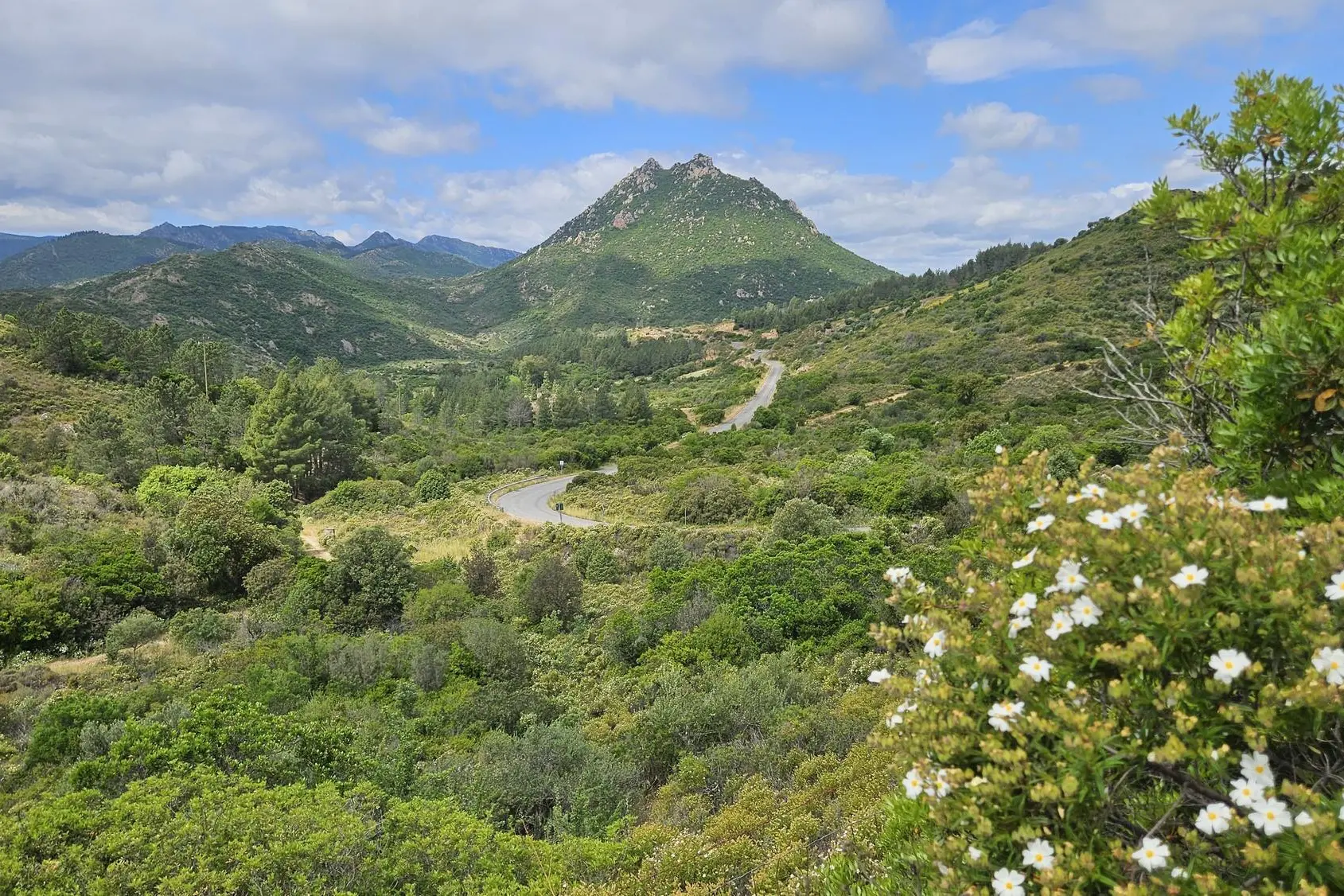 Uno scorcio del Parco di Tepilora