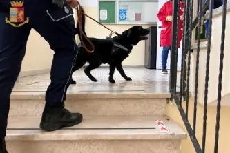 Собачьи отряды в школе (фото штаб-квартиры полиции в Нуоро)