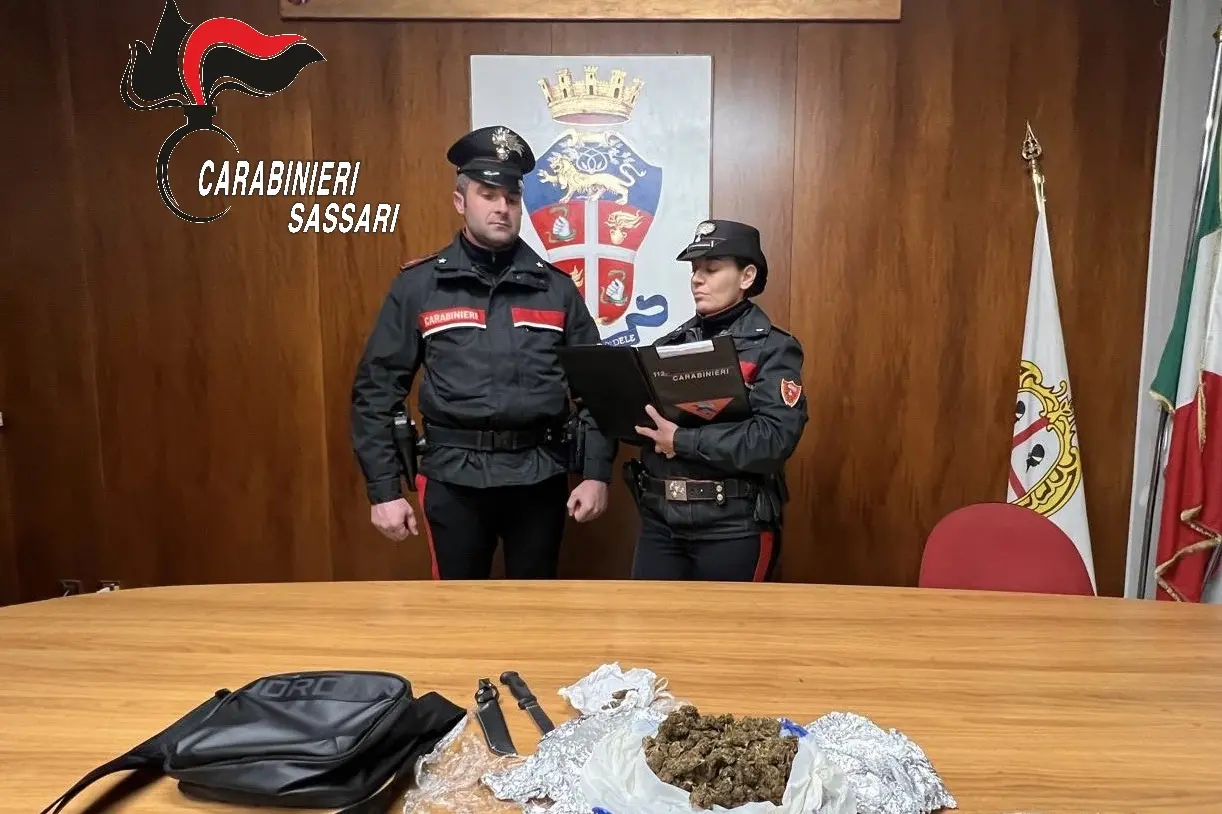 La marijuana sequestrata dai carabinieri