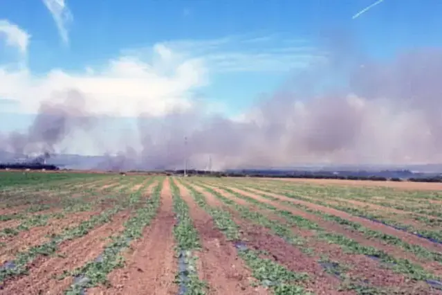 Un incendio nelle campagne di Pabillonis