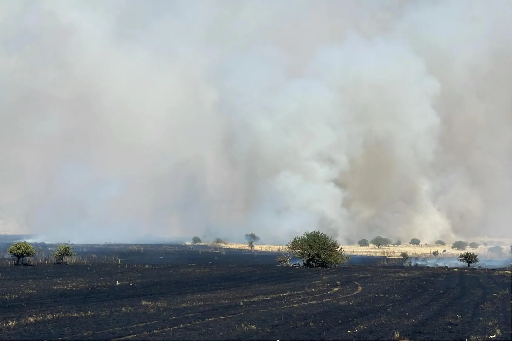 L'incendio ripartito a Bonorva (foto Deidda)