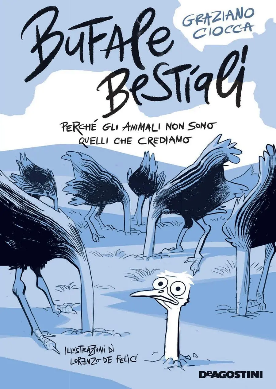 La copertina del libro