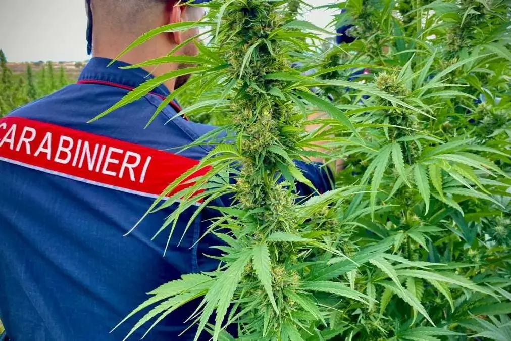 Carabinieri
