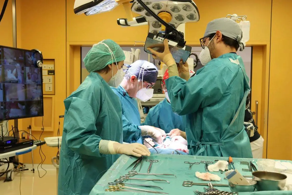 Intervento chirurgico (foto Aou Cagliari)