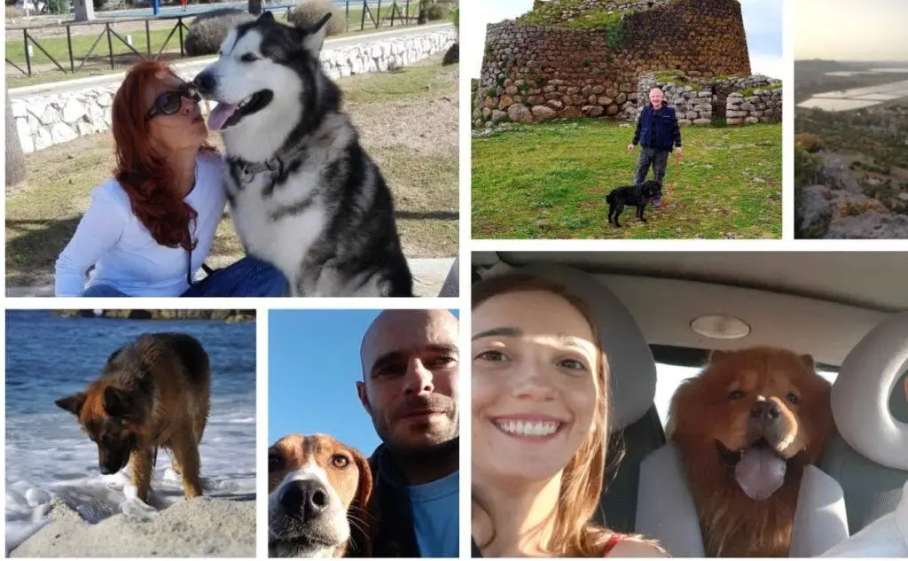 &quot;Non ti abbandonerò&quot;: gli scatti dei lettori con gli amici animali