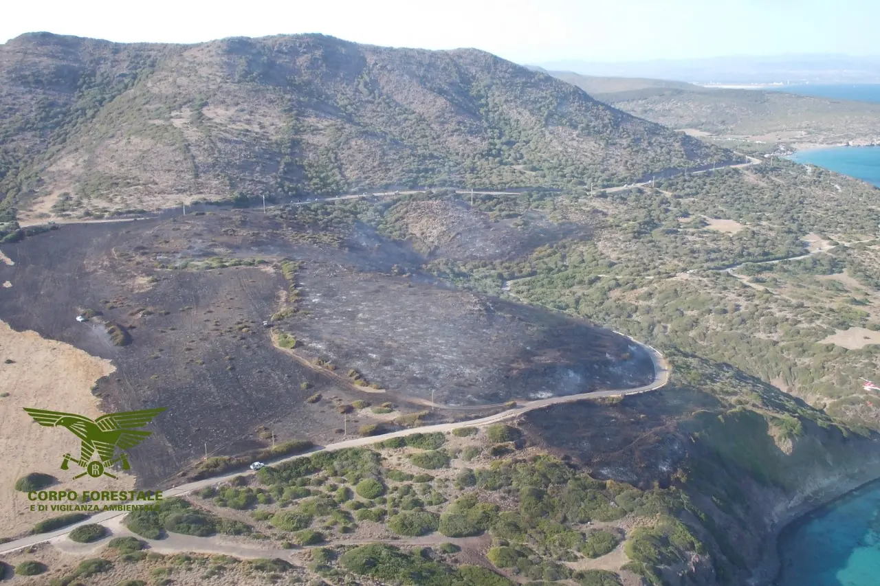 La terra bruciata a causa del rogo (Foto Corpo forestale)
