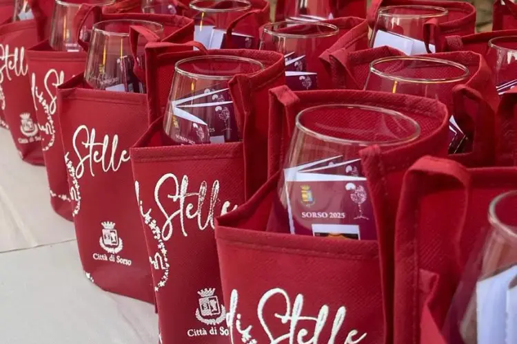 Calici di stelle a Sorso (foto concessa)