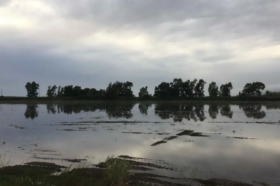 Un campo allagato dopo le ultime alluvioni nell'Oristanese