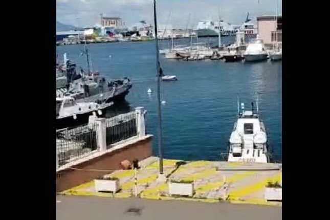 Sirene al porto di Cagliari per il compleanno del club rossoblù