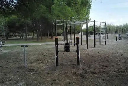 La palestra