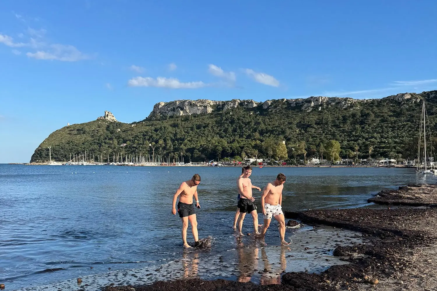 Posidonia sulla spiaggia del Poetto di Cagliari