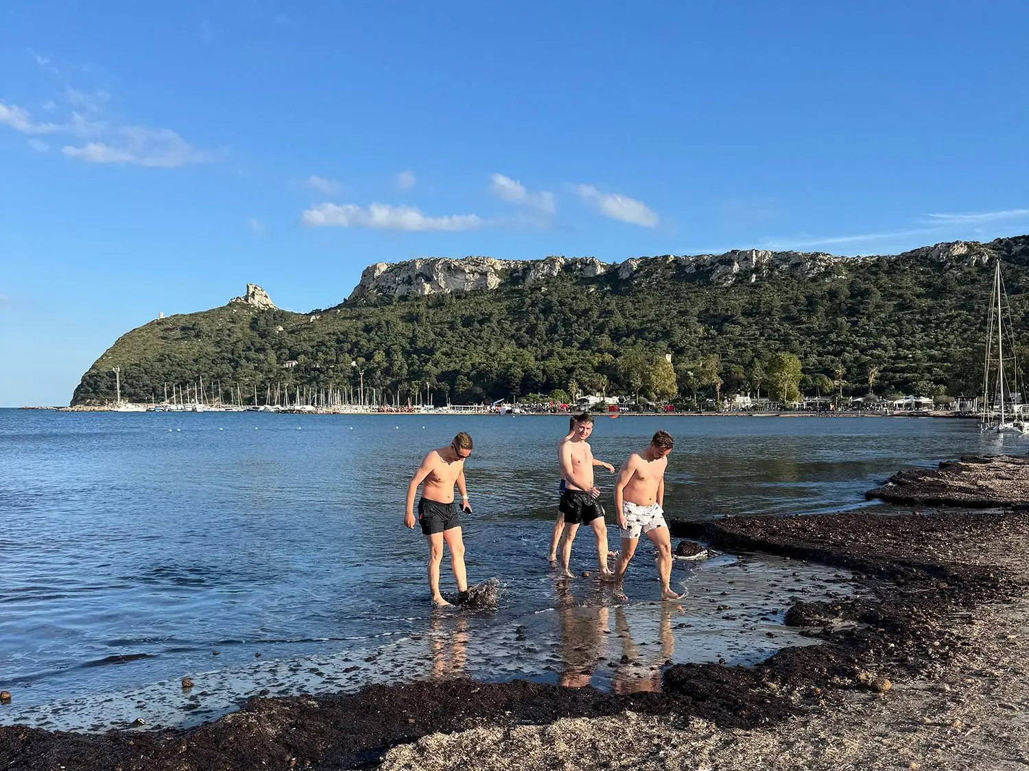 Posidonia sulla spiaggia del Poetto di Cagliari