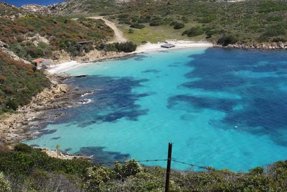 Isola dell'Asinara