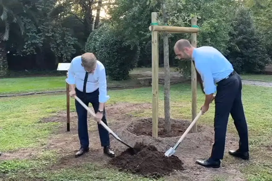 Wadephul a Roma, piantumato albero per 75 anni relazioni Italia-Germania