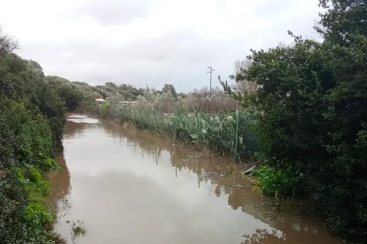 L'esondazione del Rio Mannu (foto Pala)
