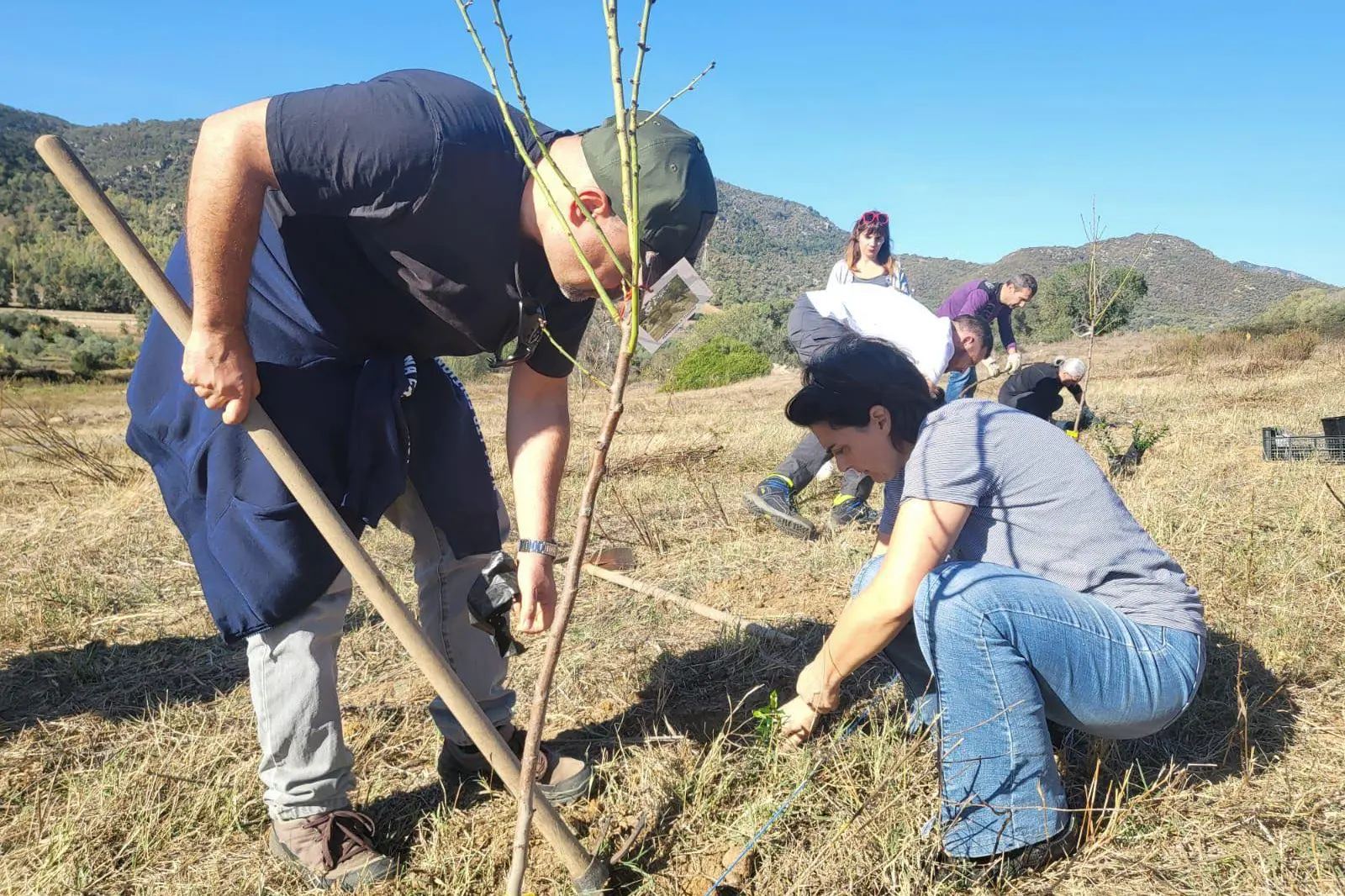 Volontari piantano alberi (foto Melis)