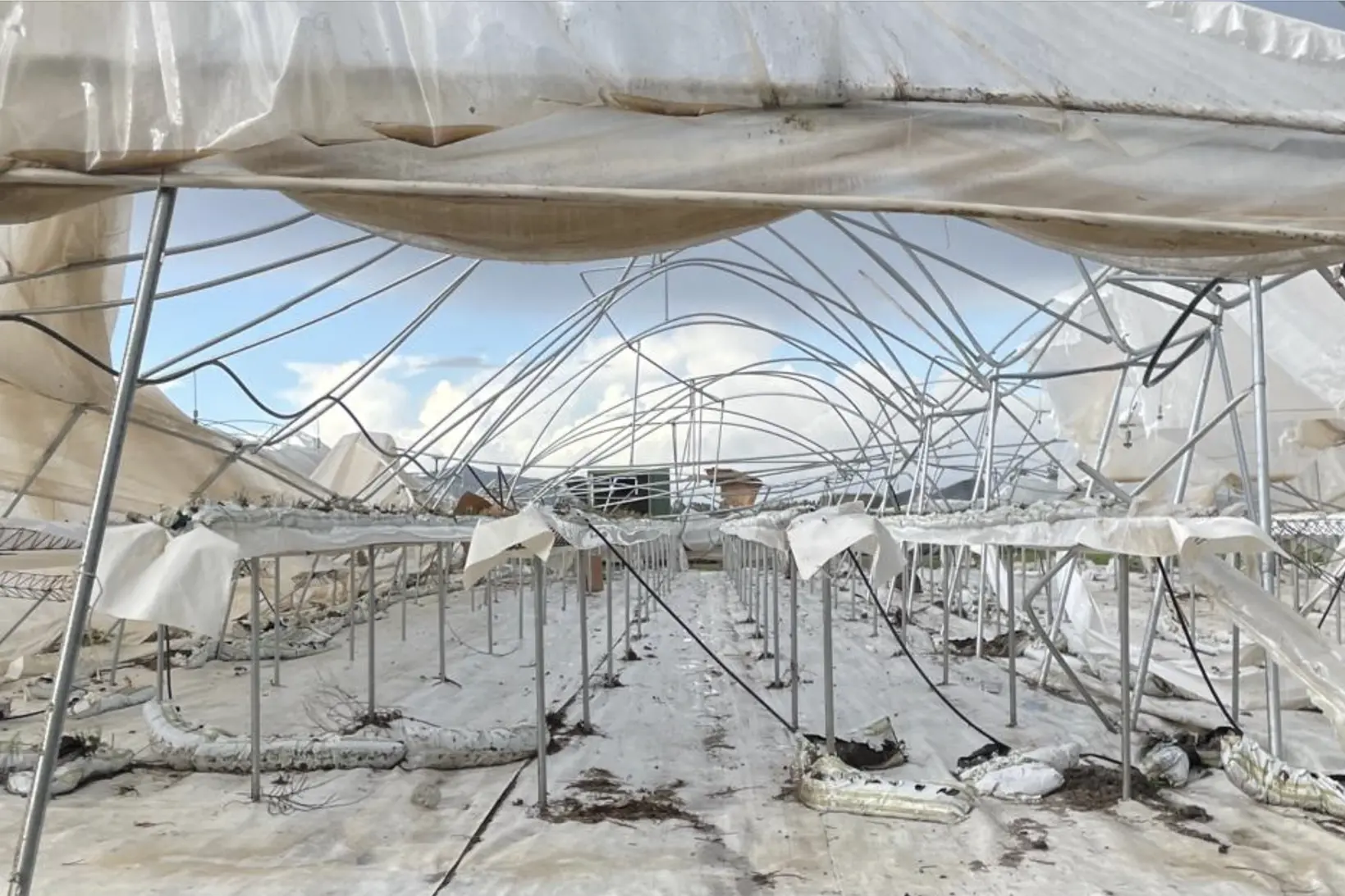 Danni maltempo San Nicolò d'Arcidano (Foto Coldiretti)