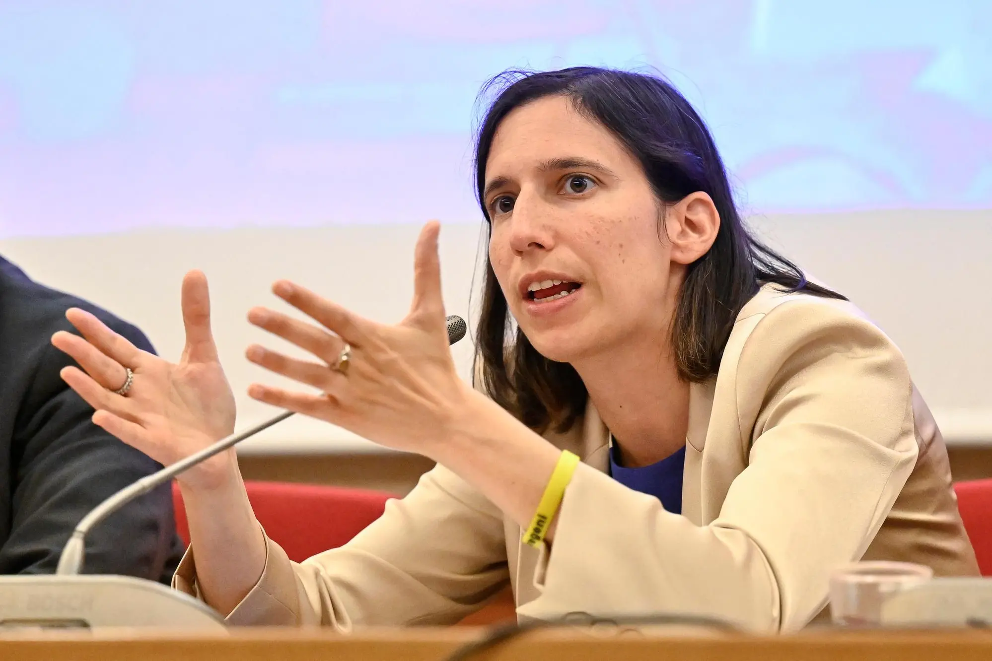 Elly Schlein (Ansa)