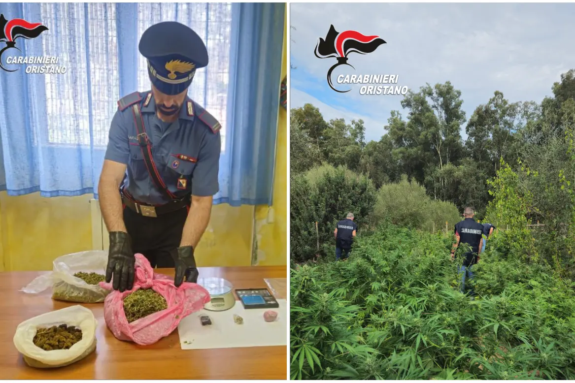 圣尼科洛达尔西达诺的种植园(照片抄送)