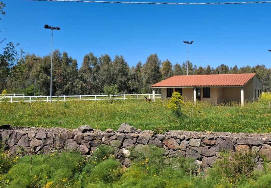 L’associazione ippica rinasce grazie ai giovani