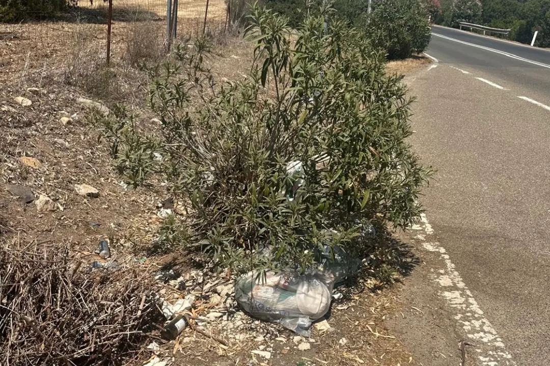 Rifiuti su una piazzola di sosta della SS 195