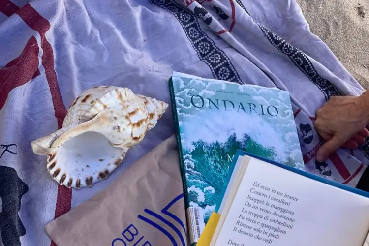 Bibliospiaggia (foto concessa)