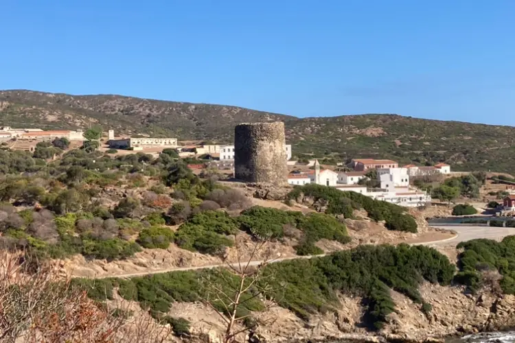L'Asinara (foto Pala)