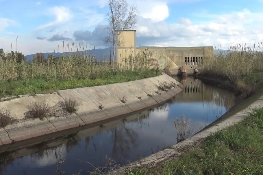 Uno dei tanti canali presenti nell'Oristanese (foto Sara Pinna)